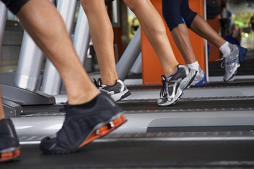 Fitness & Health Stores in Tampa Florida